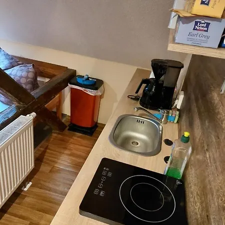 Waldquelle Plauen Apartment Plauen