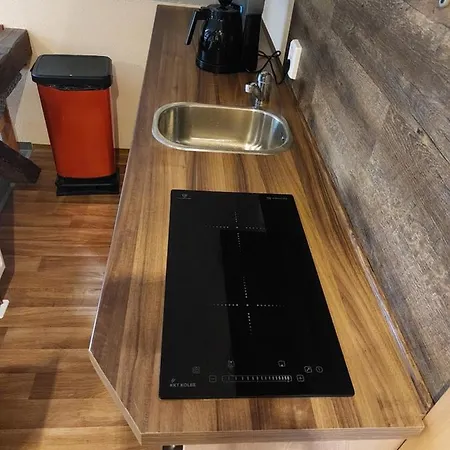 Apartment Waldquelle Plauen
